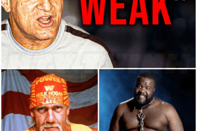 🐻 Paul Orndorff Names 5 Wrestlers He Flat-out Hated – “he Was Weak… And I Never Respected Him”