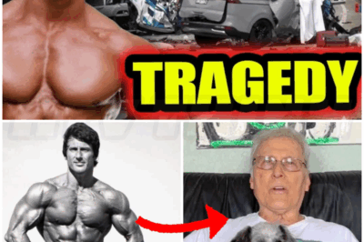 🐻 What Really Happened To Mr. Olympia Legend Frank Zane – “the Chemist’s” Untold Story Revealed