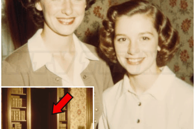 🐻 14-Year-Old Disappears Without a Trace — 7 Years Later, Her Mother Finds a Secret Door That Changes Everything