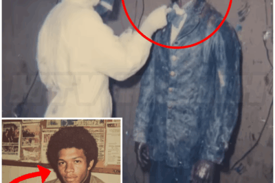 🐻 A Museum Kept a “Wax Figure” for 50 Years — Then a New Curator Realized It Was a Missing Man