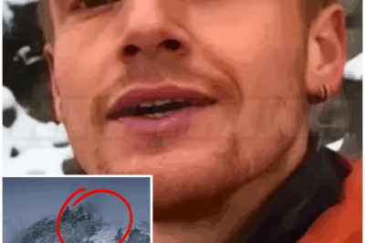 🐻 Hiker gets lost in mountain, heart drops when he sees something appear from fog