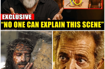 🐻 Mel Gibson Finally Breaks His Silence: “To This Day, No One Can Explain It”