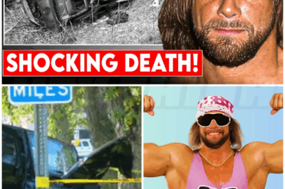🐻 The Tragic Death of “Macho Man” Randy Savage – The HEARTBREAKING Truth Behind His Final Moments