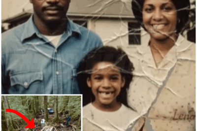 🐻 A Black Family Vanished in 1982, 20 Years Later Park Rangers Found Their Car Deep in the Jungle
