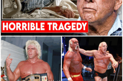 🐻 Ric Flair Is Almost 77… And How He Lives Now Is Absolutely HEARTBREAKING