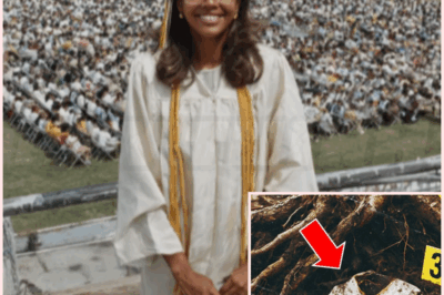 🐻 She Vanished After Graduation In 1981 — 25 Years Later, Her Cap & Gown Were Found Buried At The School