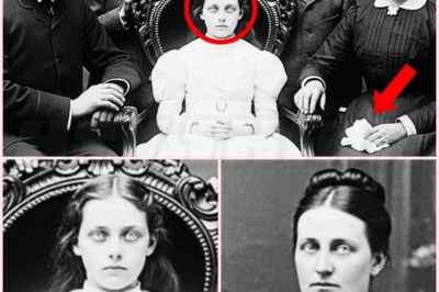 🐻 For Decades, They Thought It Was Just A Family Photo — Until They Saw Where The Little Girl Was Looking