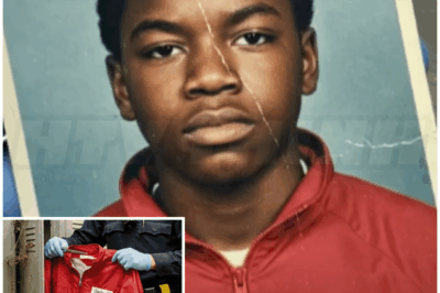 🐻 A Boy Vanished in 1981 — 22 Years Later His Jacket Was Found in a Sealed Locker at His Old School