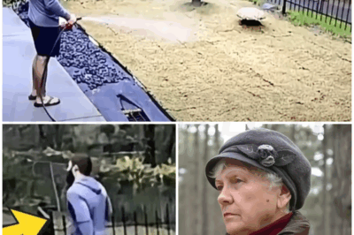 🐻 Man waves to elderly couple everyday, then he notices something strange and makes tragic discovery