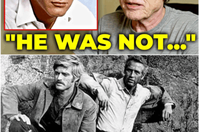 Before He Died, Robert Redford Shared the Truth About Paul Newman — A Friendship Hollywood Never Truly Understood
