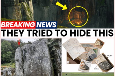 Stonehenge’s Shocking Secrets Unveiled: What Scientists Discovered Will Leave You Speechless!