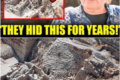 “Before I Die, I Must Tell the Truth”: Eilat Mazar’s Final Revelation Inside the Lost Palace of King David