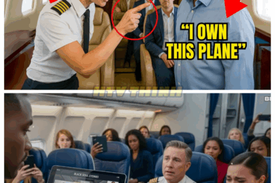 CEO Denied First Class Seat — 12 Minutes Later, He Grounds the Plane and Fires the Pilot