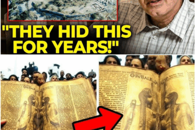 “Before I Die, I Must Tell the Truth”: Dr. Yosef Garfinkel’s Shocking Confession About the Valley of Elah Discovery