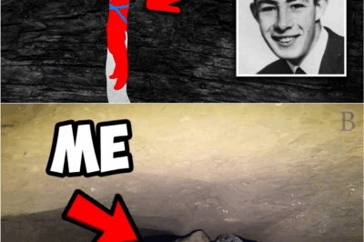 🕳️ “He Went Down and Never Came Back: The True Horror of the Neil Moss Tragedy”