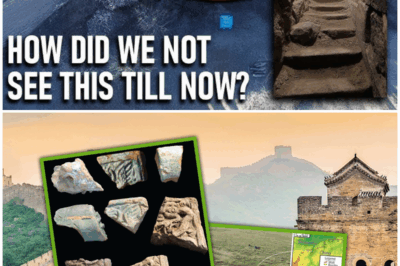 Unbelievable Discovery: A Hidden Passage in the Great Wall of China Could Change Everything We Thought We Knew About This Ancient Wonder!