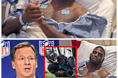 🏈💔 BREAKING: NFL Owner DROPS BOMBSHELL—Tyreek Hill’s Career OFFICIALLY OVER! 😱 The Shocking Announcement That Has Fans Reeling and The Sports World In Total CHAOS! What Happened Behind The Scenes To End The Star’s Career So Suddenly? The Emotional Fallout And Dark Secrets You Won’t Believe Are Coming To Light! 👇