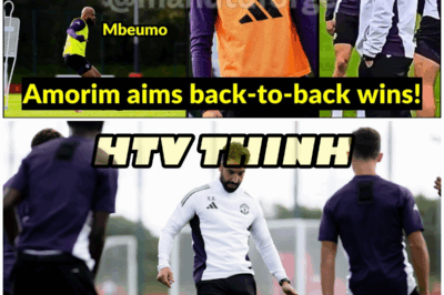 😱 Brighton’s 47% Win Rate Against United – How Did We Get Here?! 😱 – HTT