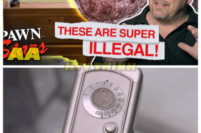 🚨 5 SUPER RARE ILLEGAL ITEMS That SHOCKED Pawn Stars! 😱