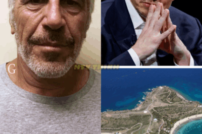 Elon Musk’s Name Emerges in Epstein Files—2014 Island Visit Plans Revealed.