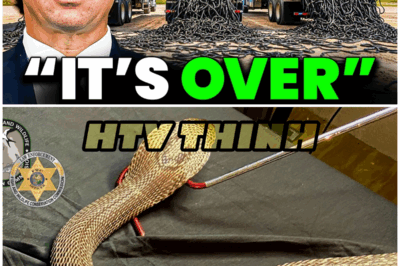 😱 The Shocking Truth Behind Florida’s Snake-Killing Secrets: What They Don’t Want You to Know! 😱 – HTT