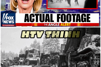 😱 Massacre or Mystery? The Strange Fate of the Soviet Division in the Finnish Wilderness! 😱 – HTT