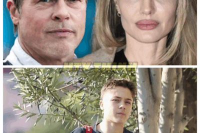 😢 Concern for Knox, Brad Pitt and Angelina Jolie’s Son: He Can’t Deny What Happened! 💔