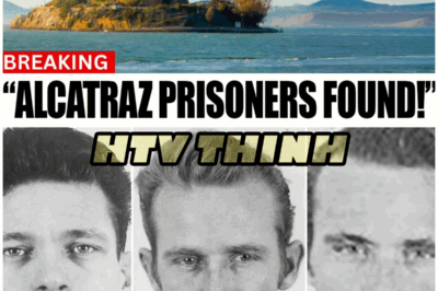 😱 After 63 Years, Alcatraz Mystery Solved: What Really Happened? 😱 – HTT