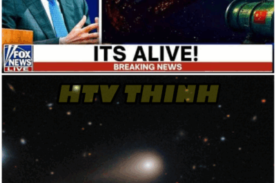 😱 Alien Probe or Living Organism? 3I/ATLAS’s Shocking Behavior Leaves Scientists Stunned 😱 – HTT