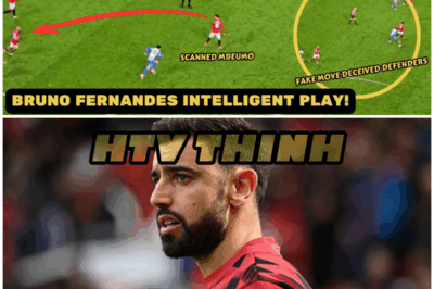 😱 Brighton Fooled, United Thrilled: Bruno Fernandes’ Subtle Genius on Display 😱 – HTT