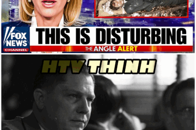 😱 After 50 Years, Jimmy Hoffa’s Body Is Found – But What They Discovered Will Horrify You! 😱 – HTT