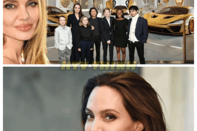 Angelina Jolie’s Lifestyle 2025| 6 Children, Mansion, Net Worth, Yacht, Huge Car Collection…