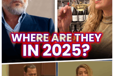 Johnny Depp & Amber Heard: Where Are They Now?