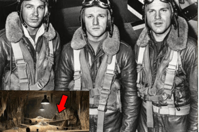 German Pilots Vanished in 1944—What Archaeologists Unearthed Deep Underground Is a Bone-Chilling Mystery!