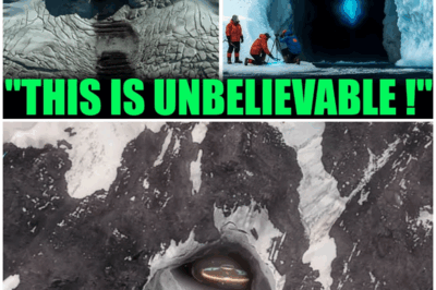 The Shocking Discovery in Antarctica That Could Change Everything We Know About Human History! Are We Alone?