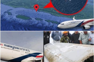 MH370 Pilot’s Final Words: The Five Quiet Seconds That Still Haunt the World Ten Years Later