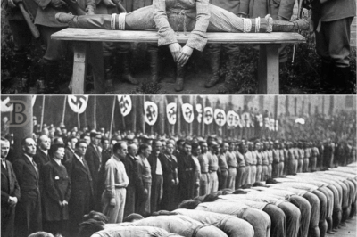 🕰️ “Nazi Soldiers, A Captured Woman, and an 80-Year-Old Secret Hidden in Plain Sight 😨”