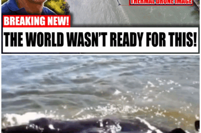 The Disturbing Truth About the Iliamna Lake Monster: Jeremy Wade’s Drone Footage Reveals a Terrifying Secret!