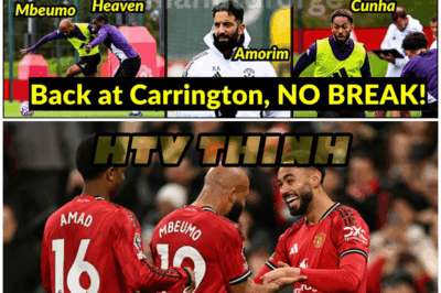 😱 Behind the Smiles at Carrington: The Drama Nobody Sees! 😱 – HTT