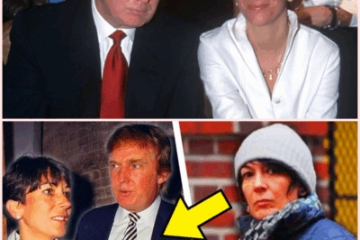Shocking Revelations: Ghislaine Maxwell’s Secret Deal with Trump Exposed!