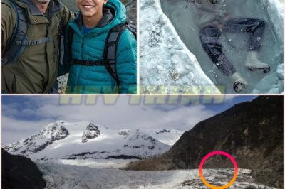 🧿🧿🧿 Father and Son Vanished in Alaska Wilderness, 10 Years Later Hikers Stumble Upon Chilling Discovery ❄️🕵️‍♂️