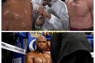 When Unknown Ray Leonard Challenged Mayweather