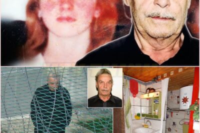 🧿😨 The chilling truth behind the Josef Fritzl case — A horrifying tale of imprisonment, abuse, and secrets that tore apart a family and shocked the world! 🔒⚖️