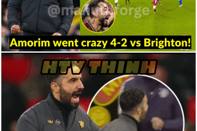 😱 Ruben Amorim’s Passion Explodes as United Crush Brighton – Fans Can’t Believe It! 😱 – HTT