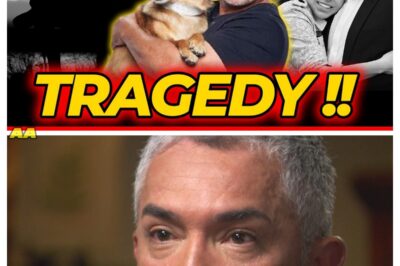 👑 What Happened to Cesar Millan?