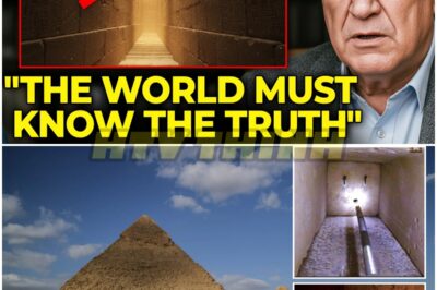 🐿️ Before I Die, I Must Tell The TRUTH 😱 — Zahi Hawass REVEALS What They Found Inside The Great Pyramid, And It Changes EVERYTHING We Thought We Knew About Ancient Egypt 🏺✨