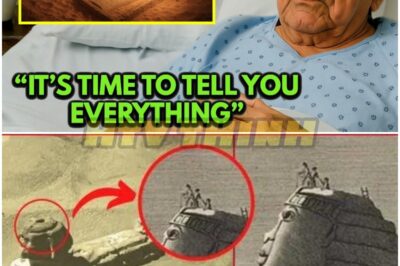 🐿️ “Before I Die, I Need To Tell The Truth” 😱 — Zahi Hawass Finally REVEALS What’s Hidden Beneath The Great Sphinx… And It Changes Everything! 🏺