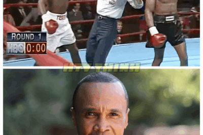 When Ray Leonard Challenged Unstable Terry Norris