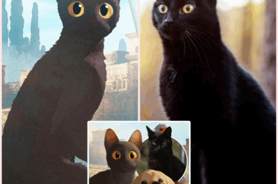 Let’s Discover How One Animated Film About a Black Cat Helped Break Centuries of Superstition