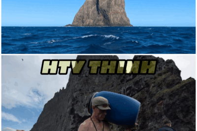 Explorers Tried To Reach Ball’s Pyramid In The Pacific Ocean, What They Discovered TERRIFIED Them – HTT